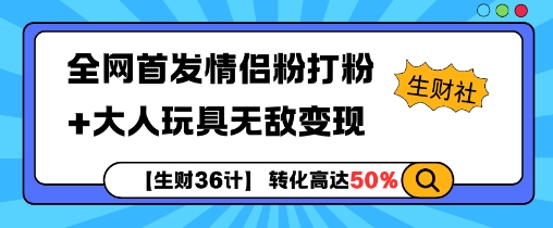 【生财36计】情侣粉打粉与大人玩具变现策略，全网首发揭秘无敌盈利模式-小伟资源网