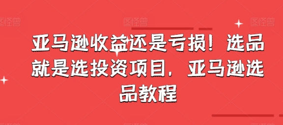亚马逊选品策略：如何通过精准选品实现盈利与避免亏损-小伟资源网