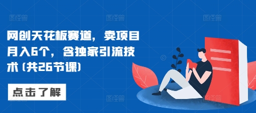 网创巅峰：月入6万的独家引流技术，26节课揭秘项目销售秘诀-小伟资源网