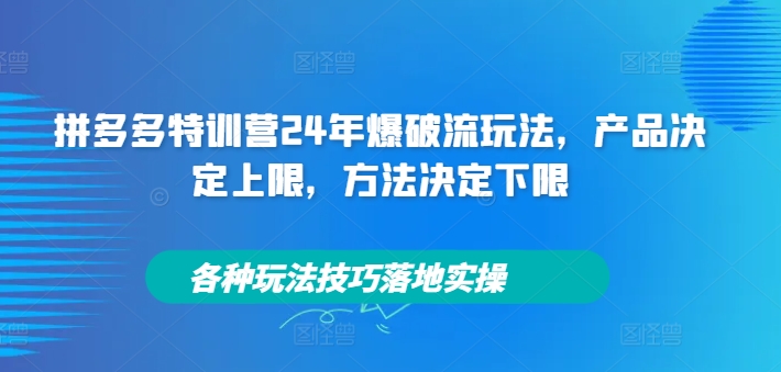 拼多多24年特训营：爆破流玩法全解析，产品与方法决定成败，实操技巧一网打尽-小伟资源网