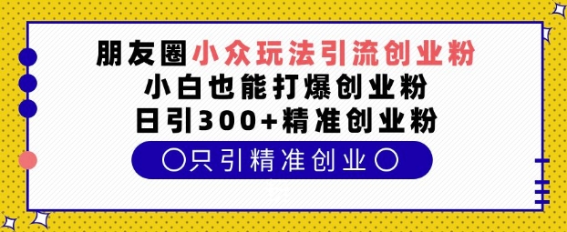 揭秘朋友圈小众玩法：小白也能日引300+精准创业粉，轻松引流创业粉！-小伟资源网