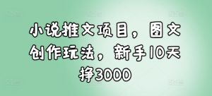 新手10天赚3000元:小说推文项目图文创作玩法全解析-小伟资源网