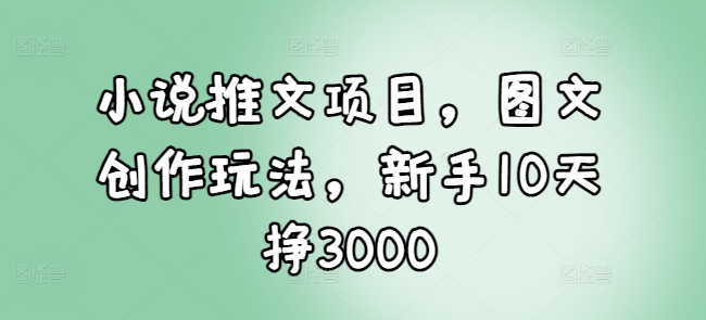 新手10天赚3000元：小说推文项目图文创作玩法全解析-小伟资源网