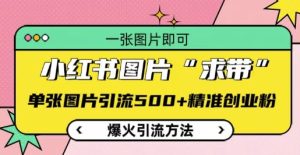 小红书爆款引流秘籍：单图精准吸引500+创业粉【揭秘】-小伟资源网