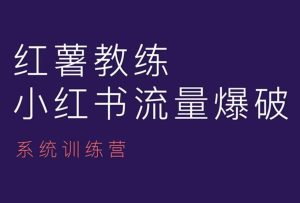 小红书运营终极指南：红薯教练带你掌握内容创作与运营技巧-小伟资源网