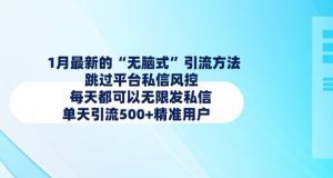 1月最新无脑引流技巧：突破平台风控，日发无限私信，精准引流500+用户-小伟资源网