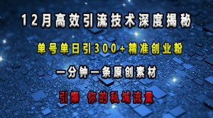 揭秘高效引流技术：单号日引300+精准创业粉，原创素材一分钟一条，引爆私域流量-小伟资源网