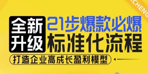 21步标准化爆款流程升级版：打造企业高成长盈利模型-小伟资源网