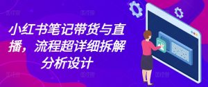 小红书带货全攻略：笔记与直播流程深度解析与设计技巧-小伟资源网
