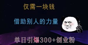 1元引爆300+创业粉与兼职粉：揭秘单日高效增粉策略-小伟资源网