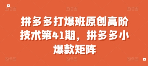 拼多多高阶技术第41期：打造小爆款矩阵的实战策略-小伟资源网