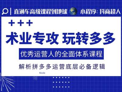 拼多多运营全攻略：掌握底层逻辑，打造专业运营体系-小伟资源网