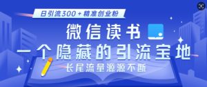 微信读书隐藏引流秘籍:日引300+精准创业粉,长尾流量持续增长-小伟资源网