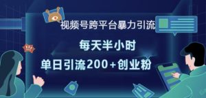 视频号跨平台引流秘籍:半小时日增200+精准创业粉丝-小伟资源网