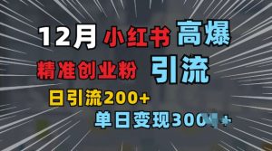 小红书图片营销秘籍:单日精准引流200+付费意识创业粉【揭秘】-小伟资源网