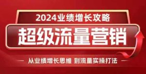 2024超级流量营销：业绩增长思维与实操打法全攻略-小伟资源网