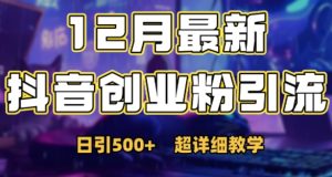12月抖音创业粉增长秘籍：日引500+实战攻略-小伟资源网