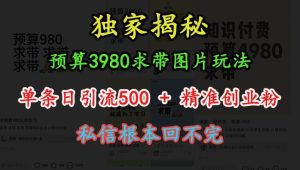预算3980元，单条日引流500+精准创业粉，私信爆满的图片玩法揭秘-小伟资源网