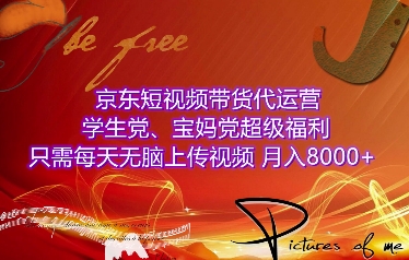 京东短视频带货代运营揭秘：学生宝妈轻松月入8000+，无脑上传视频即可！-小伟资源网