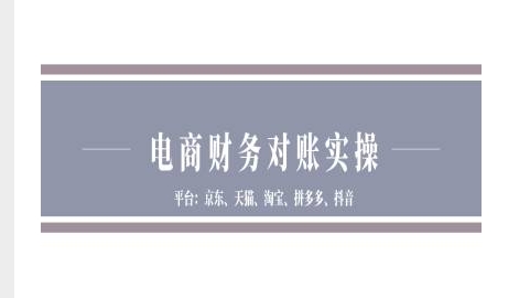 京东天猫淘宝拼多多抖音电商财务对账实操指南-小伟资源网