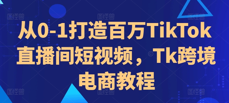 《0基础打造百万TikTok直播间：跨境电商短视频全攻略》-小伟资源网