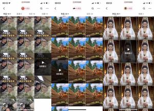 狗熊岭快手连怼技巧：技术、好物推荐与涨粉策略全解析-小伟资源网