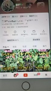 抖音快速涨粉秘籍:三四个作品轻松吸引近万粉丝,一天实现万粉目标-小伟资源网