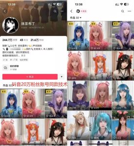 《云天二次元美女起号秘籍:月涨10万粉丝,轻松避免搬运风险》-小伟资源网