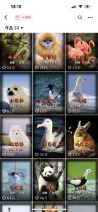 动物科普解说项目：创作者伙伴计划收益与实战教程全攻略-小伟资源网