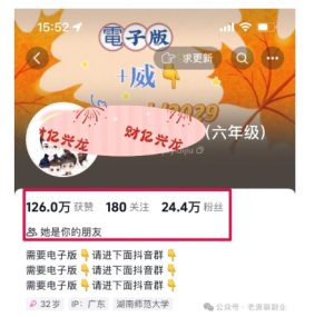 2024年小学资料项目新策略：稳定盈利与批量复制技巧全解析-小伟资源网