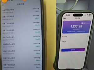 3天赚千元!最新语聊自刷项目,无需剪辑、作品、带货,简单无门槛-小伟资源网