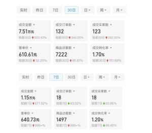 《拼多多18天赚86600元：客单价600元，日销过万的秘诀揭秘》-小伟资源网