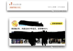 闲鱼虚拟网盘拉新训练营:两天快速入门,实现长久稳定被动收入-小伟资源网