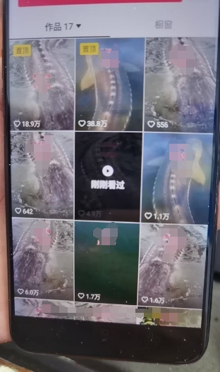 7天速成万粉号：国学佛像原创暴力起号技术，399元轻松掌握-小伟资源网