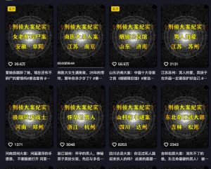 2024抖音大案纪实解说课：最新案件分析与教学教程-小伟资源网