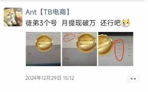 淘宝无人直播带货：一台电脑轻松变现，无需看管，低门槛高收入-小伟资源网