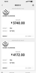 手机搬砖项目：矩阵化操作，新手月入5000+轻松实现-小伟资源网