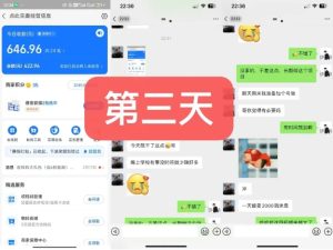 3天狂销2720!货币掘金新项目内测组限10人,速来抢位!-小伟资源网
