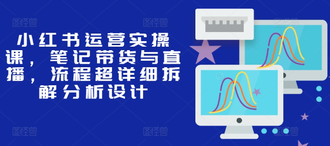 小红书运营实战：笔记带货与直播全流程深度解析与设计策略-小伟资源网