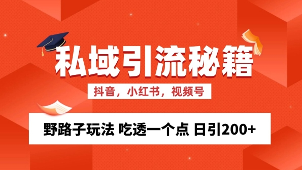 揭秘私域流量精准获客：野路子玩法，日引200+的秘诀-小伟资源网