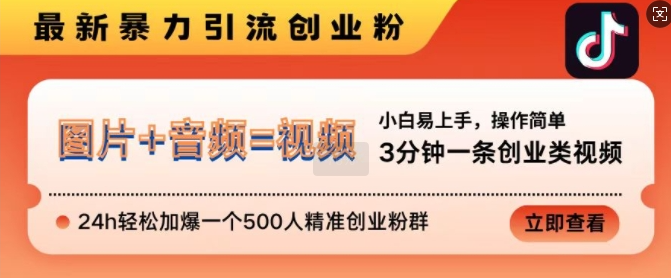 抖音创业粉引流秘籍：3分钟视频24小时加爆500人精准群【揭秘】-小伟资源网
