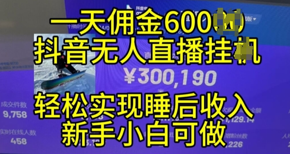 2024年抖音无人直播带货全攻略：小白24小时不间断收益秘籍大揭秘-小伟资源网