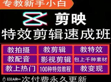 剪映特效与运营变现速成教程：新手小白快速掌握剪辑技巧-小伟资源网