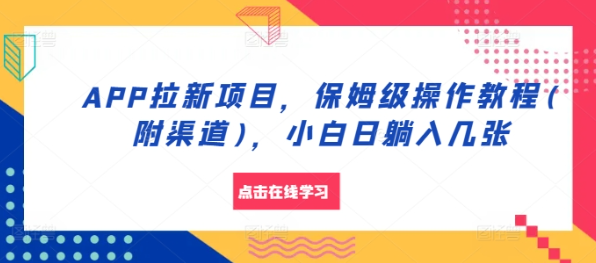 《APP拉新项目全攻略：小白也能轻松日入几张的保姆级教程与渠道揭秘》-小伟资源网