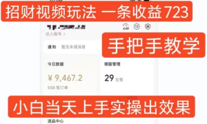 “招财视频教程：小白当天上手，单条视频收益高达723元”-小伟资源网