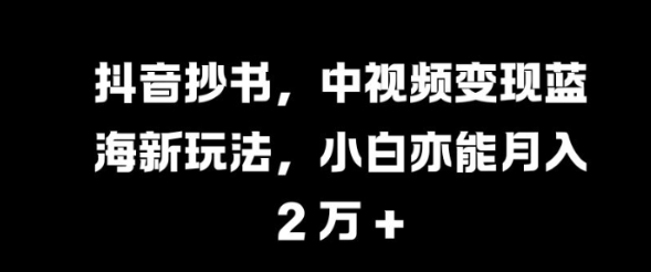 抖音抄书变现新玩法揭秘：小白也能月入过万的蓝海策略-小伟资源网