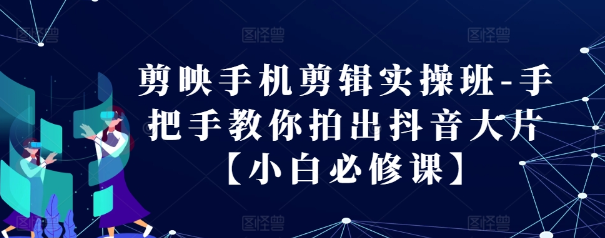 剪映手机剪辑实操班：手把手教你拍出抖音大片，小白必修课-小伟资源网