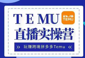 Temu直播实战营:跨境拼多多电商出海,轻松赚美金-小伟资源网