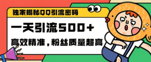 揭秘QQ引流秘籍：单日精准加粉100+，高效创业粉获取技巧大公开-小伟资源网
