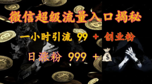 微信超级流量入口揭秘：一小时吸引99+创业粉，日增999+粉丝的秘诀-小伟资源网